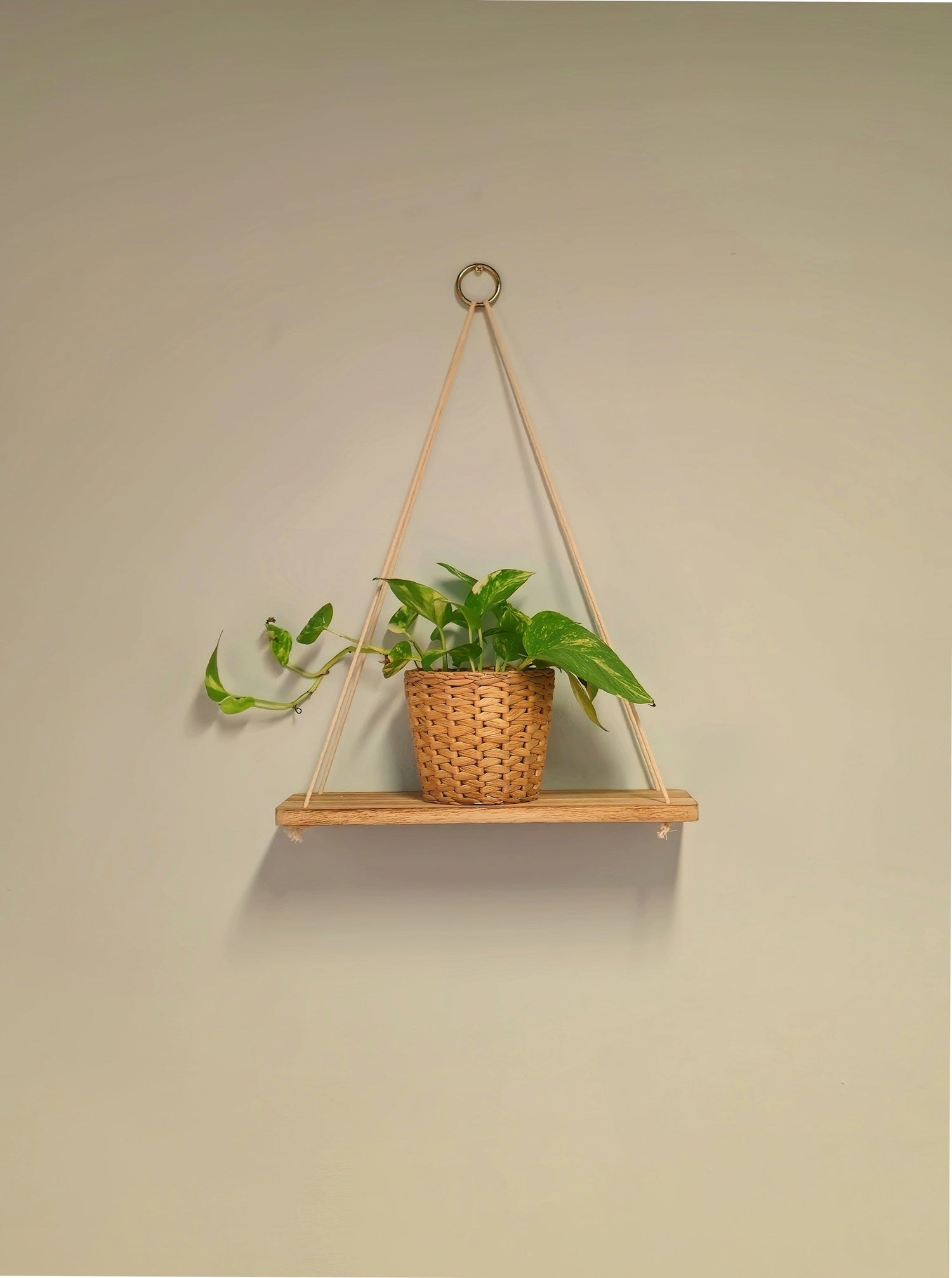 "Shop Our Best-Selling Wall Racks"